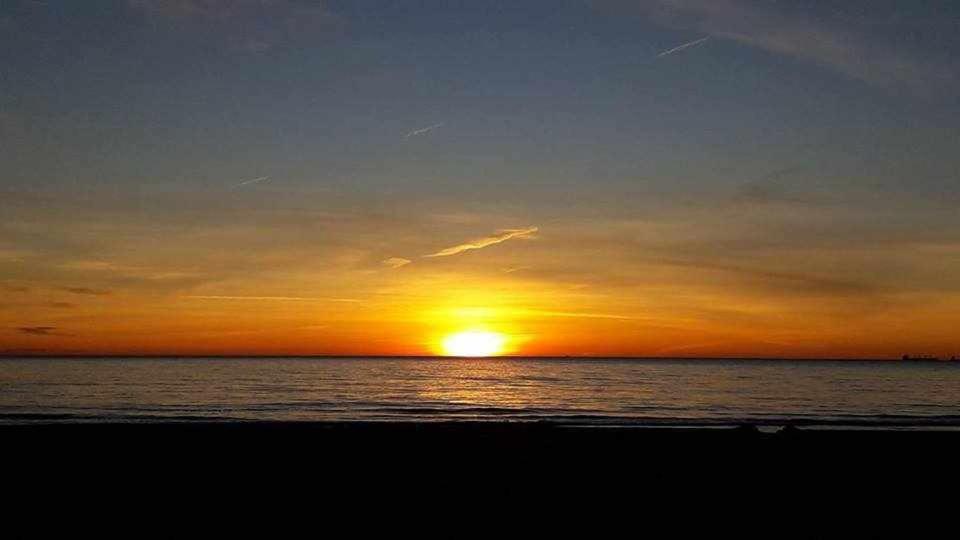 Mediterrania Marina Sagunto Værelse billede
