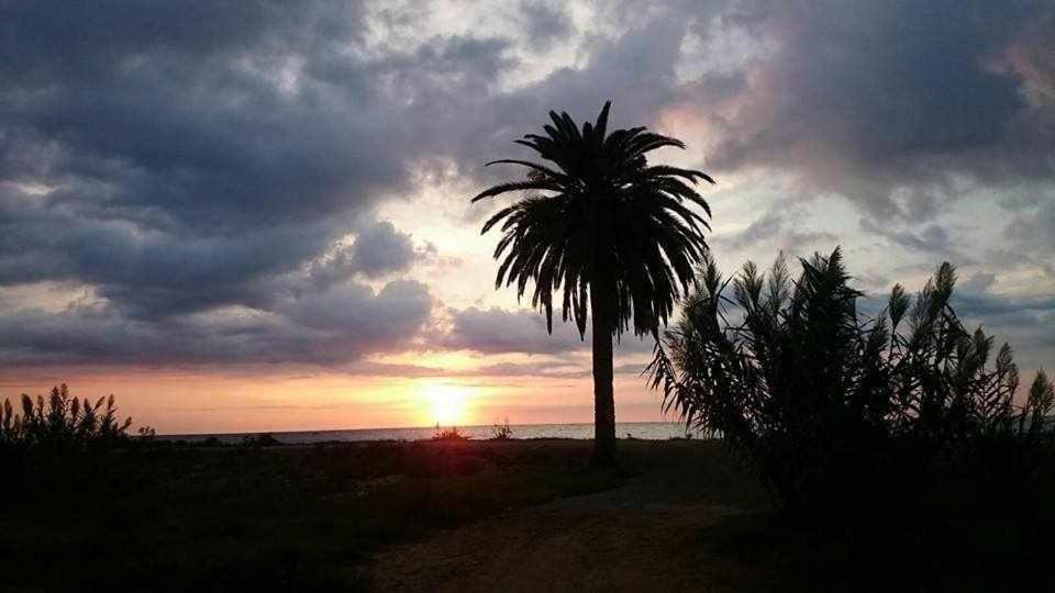 Mediterrania Marina Sagunto Værelse billede