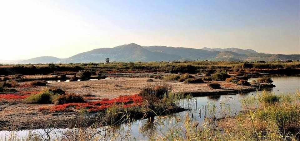 Mediterrania Marina Sagunto Værelse billede